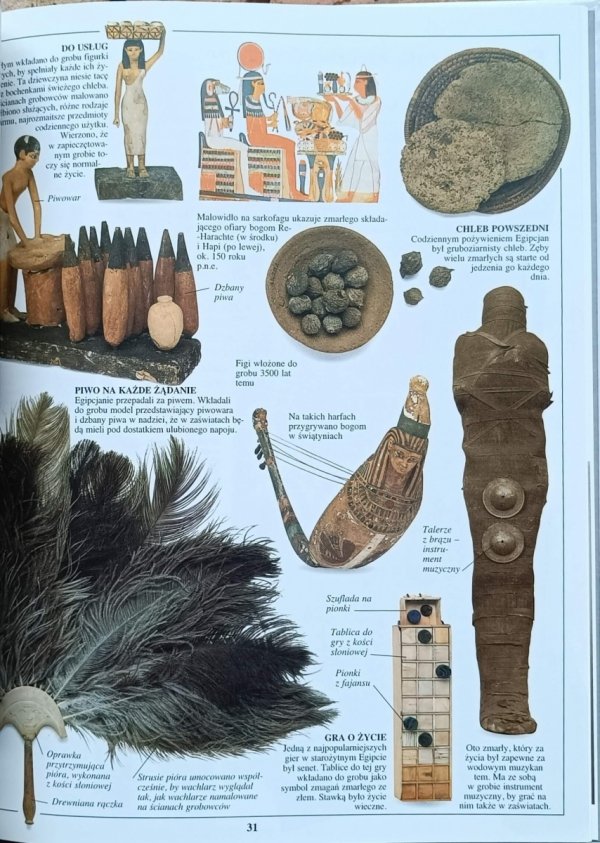 James Putnam - Mumie | Patrzę Podziwiam Poznaję