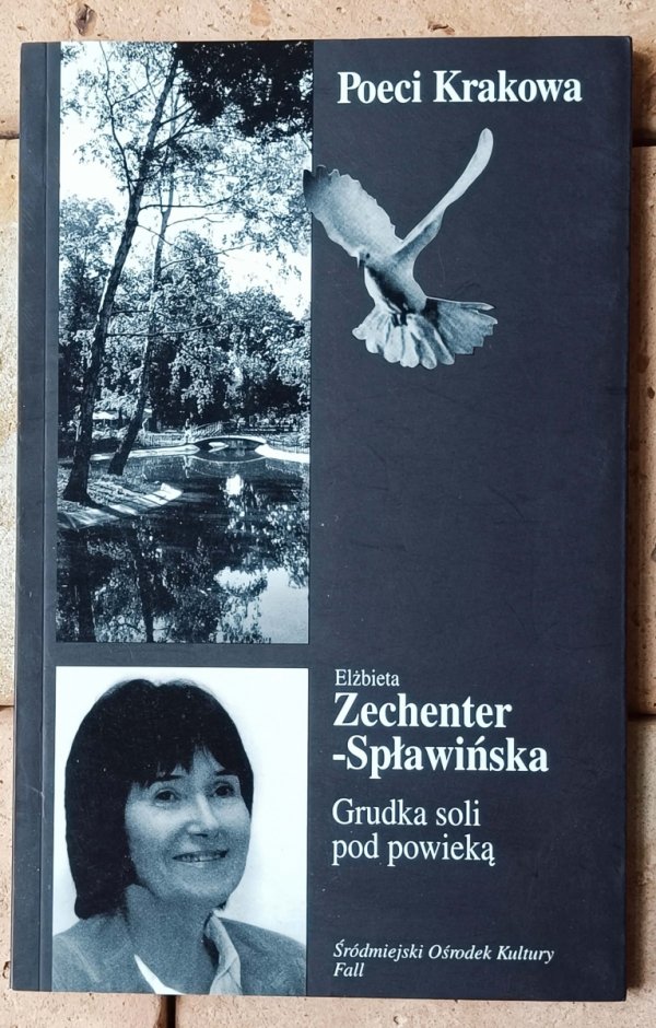 Poezja współczesna – 10 tomików • Zechenter, Rose, Siwiec, Sośnicki, Mirahina i inni - okładka