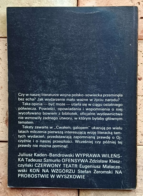 Cwałem, galopem. Opowieści z wojny bolszewickiej - okładka