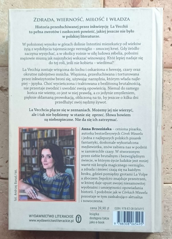 Anna Brzezińska - Woda na sicie. Apokryf czarownicy - okładka