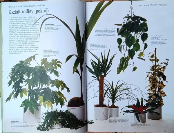 John Brookes Wielka księga kwiatów. Sztuka kompozycji i pielęgnowania - ilustracje