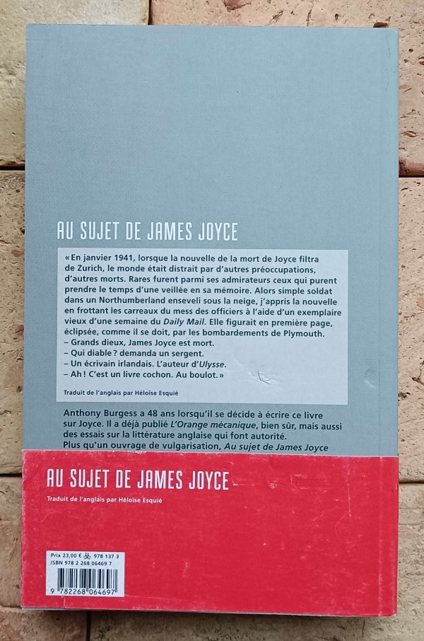 Anthony Burgess - Au sujet de James Joyce