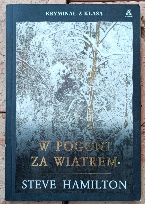 Steve Hamilton • W pogoni za wiatrem