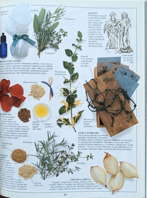 Douglas Hill - Wiedźmy i czarownice | Patrzę Podziwiam Poznaję