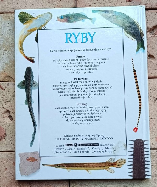 Steve Parker - Ryby | Patrzę Podziwiam Poznaję