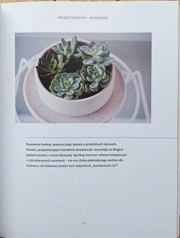 Weronika Muszkieta Ola Sieńko Projekt Rośliny - fragment