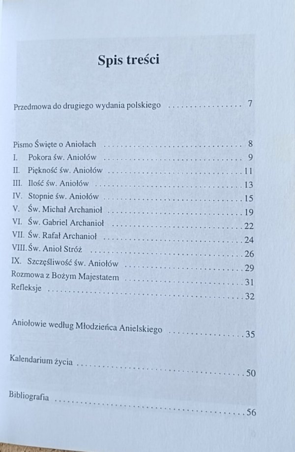 Alojzy Gonzaga - Świat aniołów