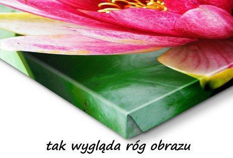 Fotoobraz 60x90 cm / 90x60 cm - zdjęcie na płótnie- darmowa dostawa