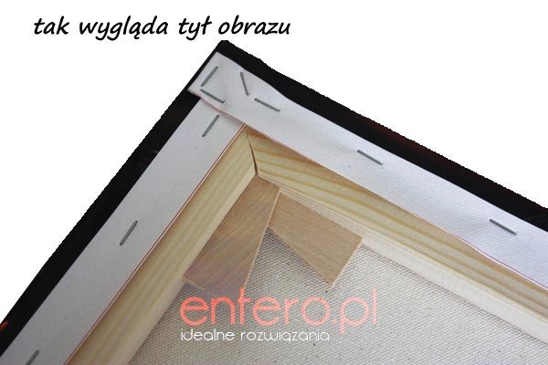 Fotoobraz 60x90 cm / 90x60 cm - zdjęcie na płótnie- darmowa dostawa