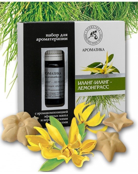 Zestaw do Aromaterapii Ylang Ylang &amp; Lemongrass, Olejki Naturalne i Gwiazdki Ceramiczne, Aromatika