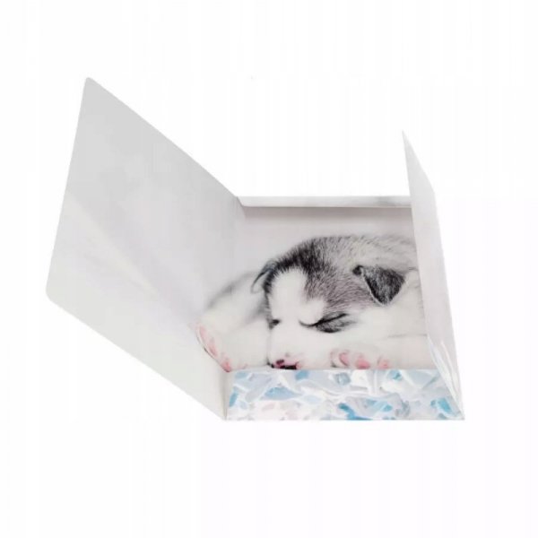 Teczka z gumką A4 PIESKI 559719 STARPAK