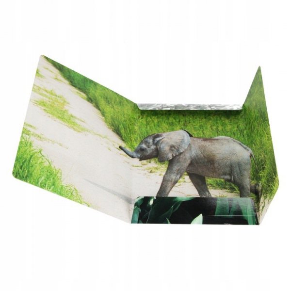 Teczka z gumką A4 WILD ANIMAL KOALA 559730 STARPAK