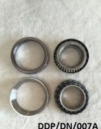 Rear Differential Carrier Bearing KIT for Durango & Dakota 2000-2010 DDP/DN/007A 