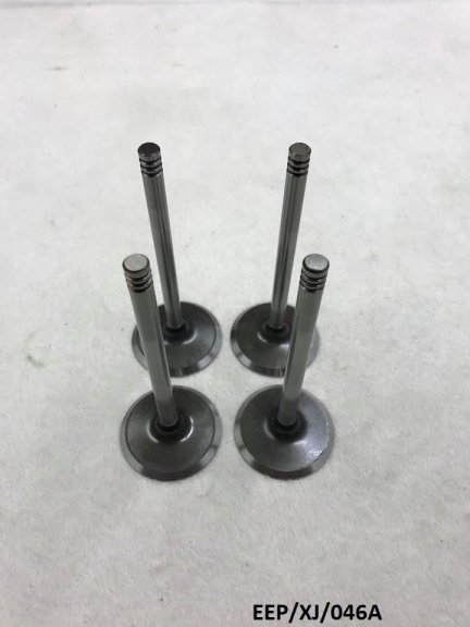 4 x Intake Valve for Jeep Cherokee XJ / Comanche MJ 2.5L 1987-2001 EEP/XJ/046A