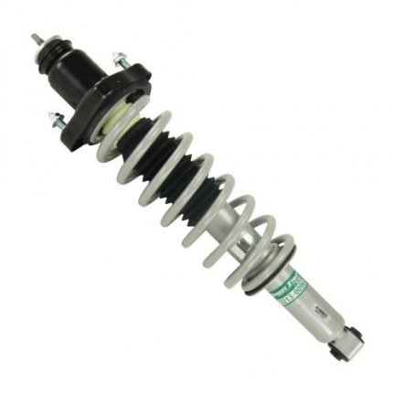 McPHERSON COLUMN (SHOCK ABSORBER, COIL SPRING, MOUNTS) - REAR