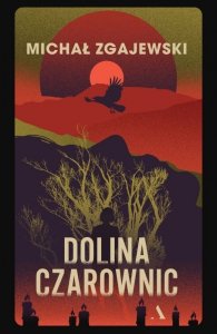 Dolina czarownic. Detektyw Norbert Krzyż. Tom 4