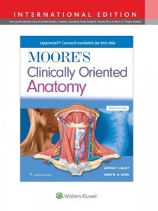 Moore's Clinically Oriented Anatomy