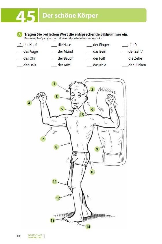 TESTE DEIN DEUTSCH. Wortschatz 1. Słownictwo 1