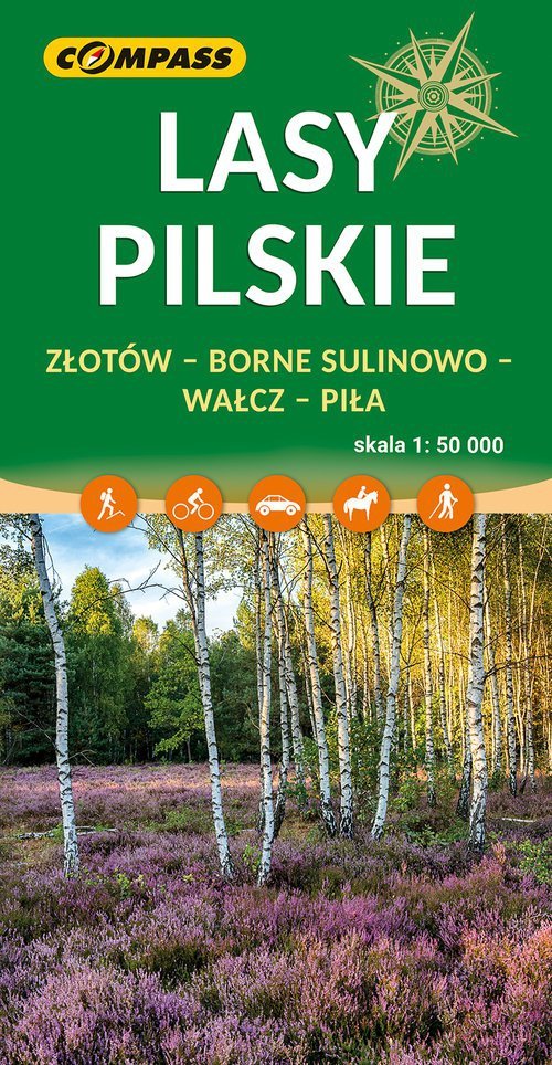 Lasy Pilskie 1:50 000
