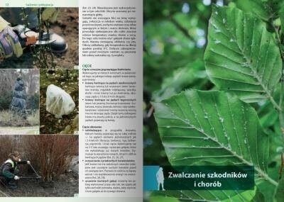 Rośliny do każdego ogrodu
