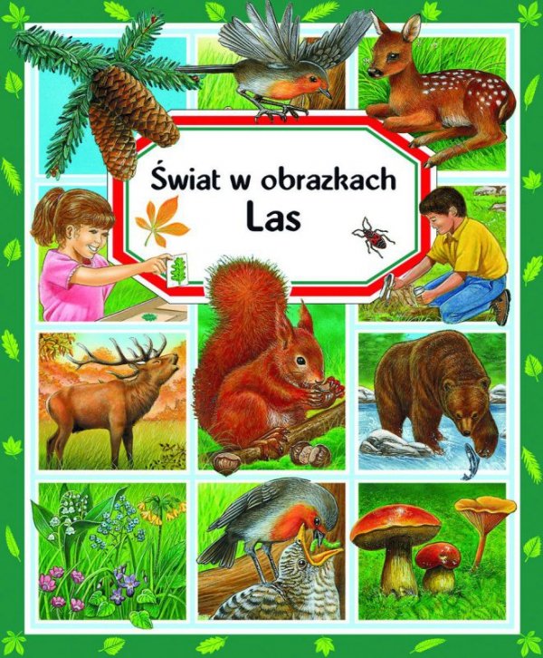 Świat w obrazkach. Las. Wydanie 2022