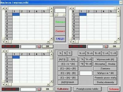 Adept Matematyki. PC CD-ROM