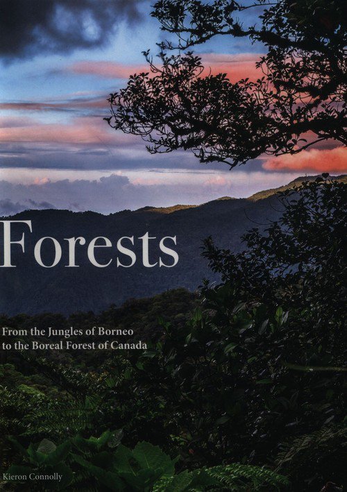 Forests Kieron Connolly