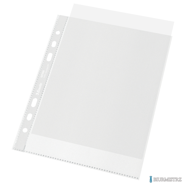 Koszulka groszkowa Recycled Premium PP 70 mic. A5, w kartonie, 100 szt. Esselte 627495