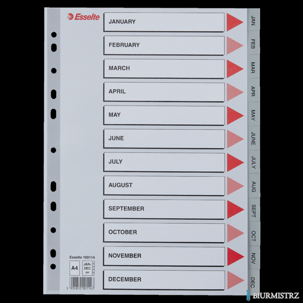 Przekładki plastikowe szare PP A4 12 miesięcy 100114 numeryczne ESSELTE