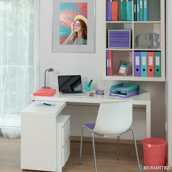 Zszywacz mini Rapid ColourBreeze F4, 10 kartek, 5 lat gwarancji, zielony 5001326