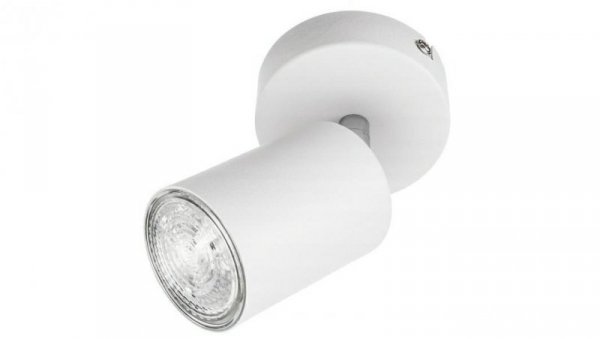 Lampa Oprawa SIENA-ALU-W/S 1xgu10 biała ze srebrnym przegubem