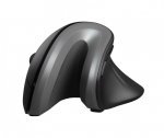 Trust Mysz bezprzewodowa Verro Ergonomic