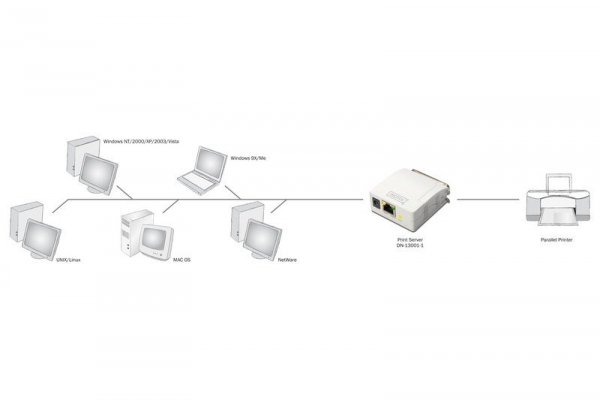 Digitus Serwer wydruku Fast Ethernet 1-port 1xLPT, 1xRJ-45