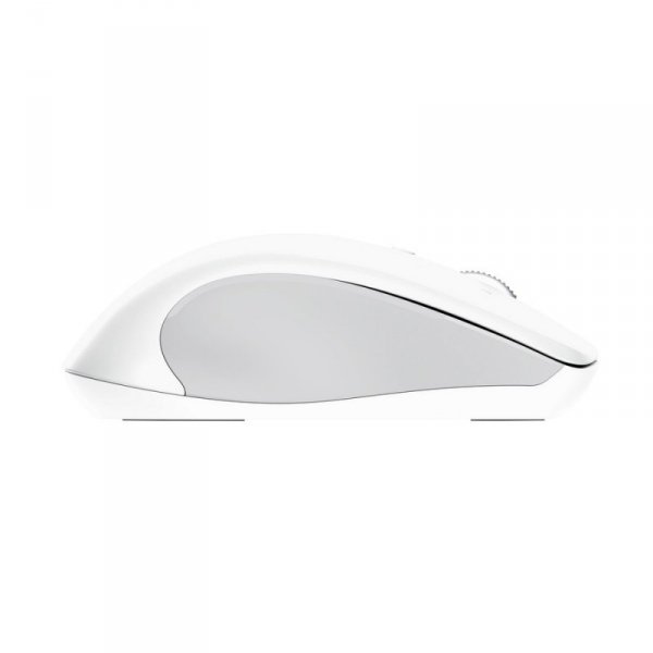 Trust Mysz bezprzewodowa FERRO Hyperwheel biała