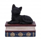 Kot i Książki Salems Spell - szkatułka z kotem