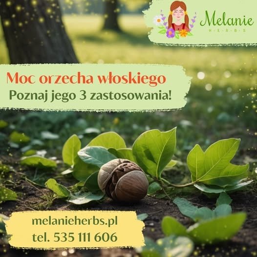 Internetowy sklep zielarski | Melanie Herbs	
