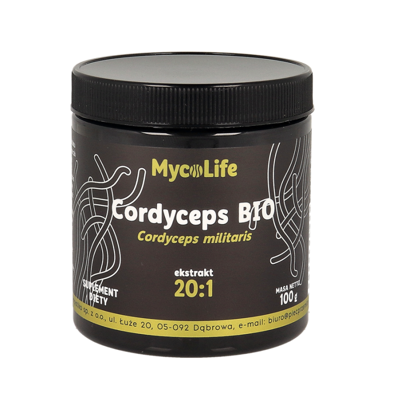 Cordyceps Maczużnik  Chiński BIO 100g