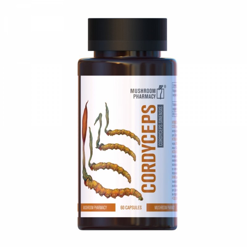 Kordyceps 60 kapsułek