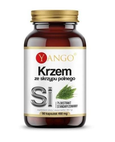 Krzem ze Skrzypu Polnego 90 kapsułek