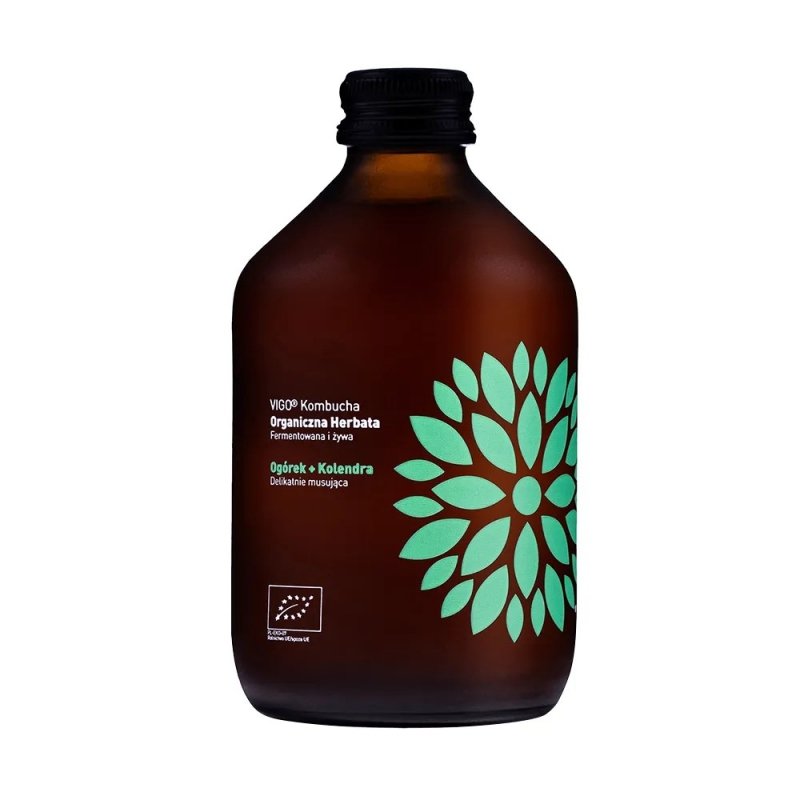 Kombucha Ogórek + Kolendra BIO 330ml