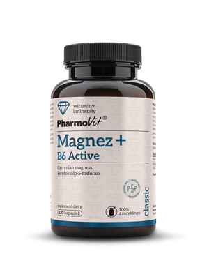 Magnez+B6 Active 120 kapsułek