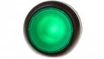 Napęd przycisku zielony z podświetleniem bez samopowrotu M22S-DRL-G 216949