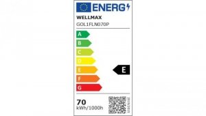 Naświetlacz LED 70W 95lm/W 6650lm IP54 Neutralna 4000K z czujnikiem ruchu SAMSUNG / GOL1FLN070P