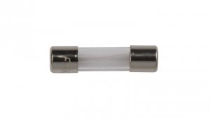 Wkładka aparatowa 5x20mm 10A F /szybka/ 250V 006710027 /10szt./