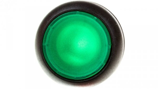 Napęd przycisku zielony z podświetleniem bez samopowrotu M22S-DRL-G 216949