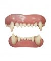 Sztuczne zęby - Wilkołak