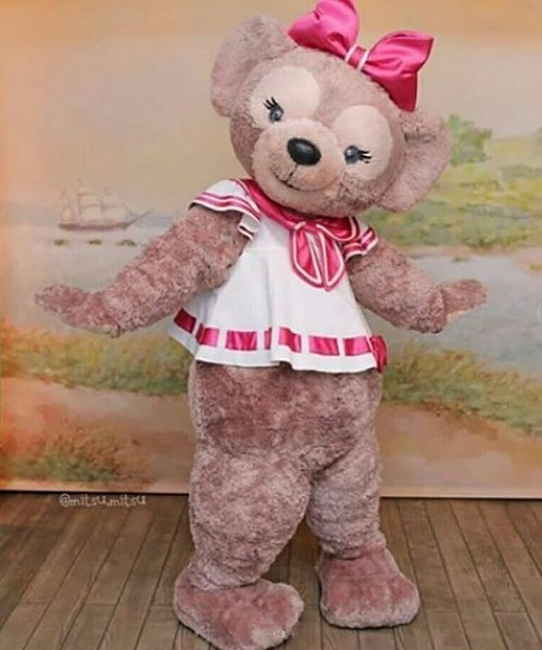 Strój chodzącej maskotki Miś Dziewczynka Teddy