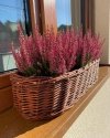 Donica ogrodowa Owalna 50cm - sklep z wiklina - zdjęcie 