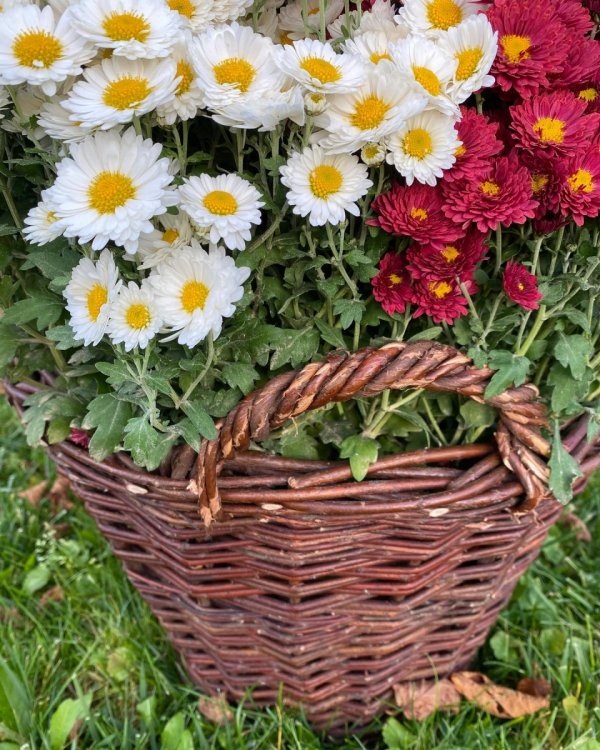 Kosz gospodarczy 50cm - sklep z wiklina - zdjęcie 5