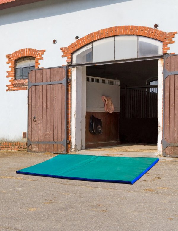 Mata dezynfekcyjna (85x60x3 cm)